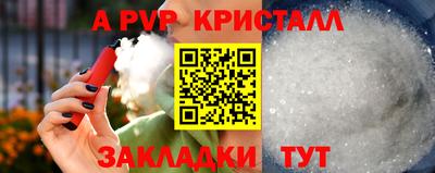 крисы Коммунар