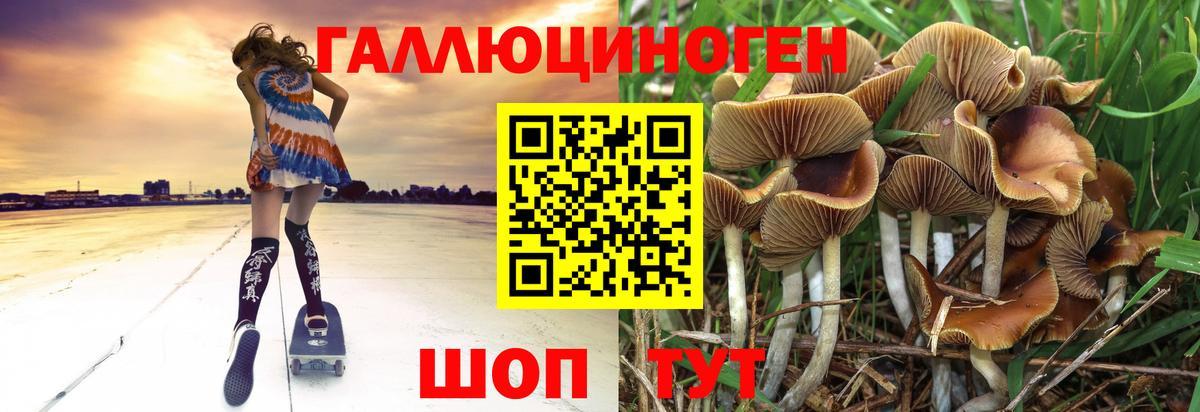 Шебекино  Псилоцибиновые грибы Cubensis  Вход с VPN 